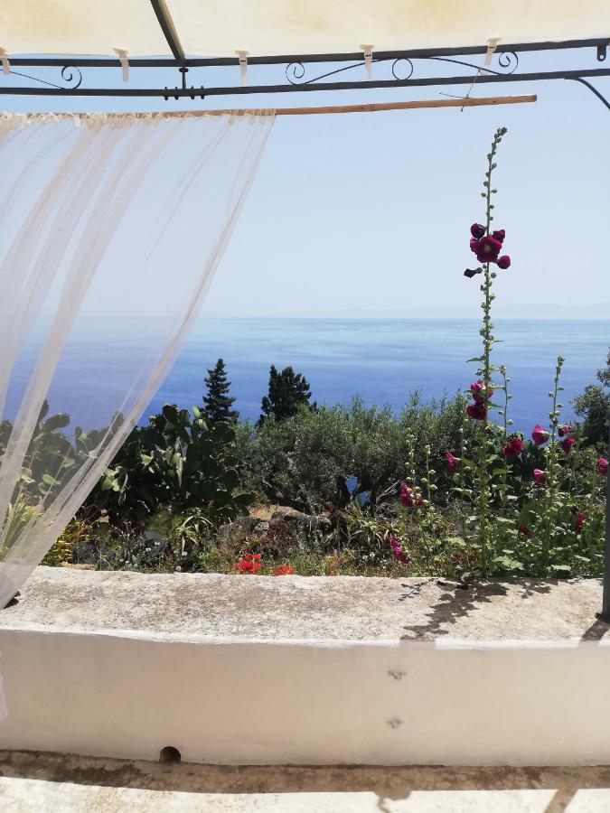 Alicudi Giardino Dei Carrubi- Al Gradino 365 Bed and Breakfast Εξωτερικό φωτογραφία
