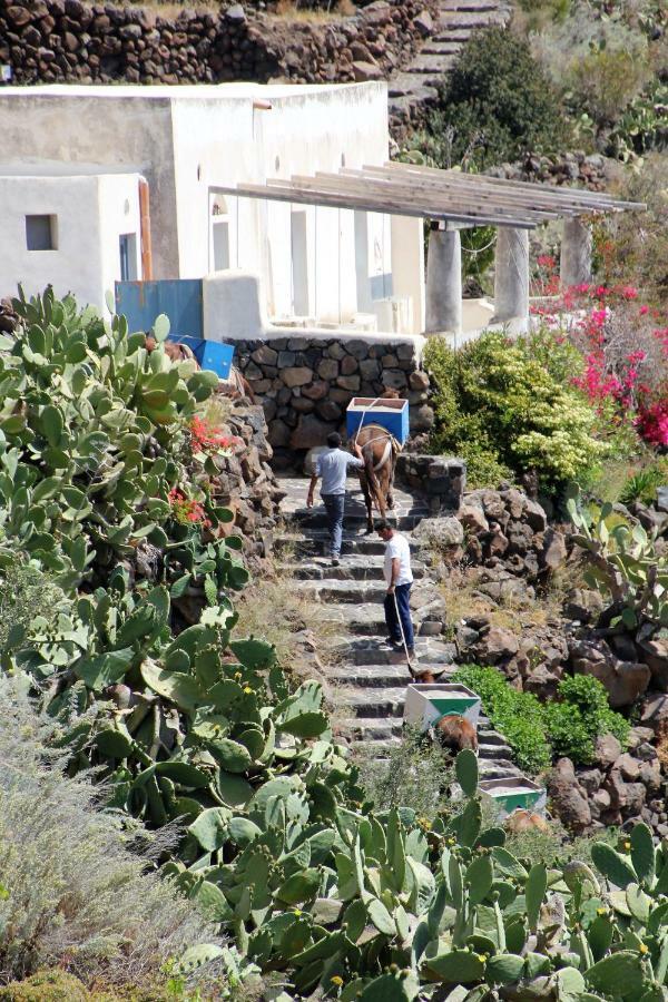 Alicudi Giardino Dei Carrubi- Al Gradino 365 Bed and Breakfast Εξωτερικό φωτογραφία